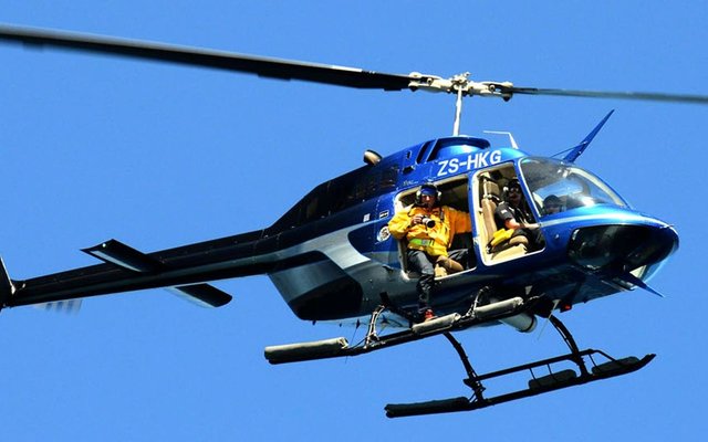 Aerial survey photography being carried out during the 2013 Mammal Research Institute annual southern right whale survey (image courtesy of David Hurwitz (top image) 